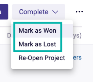 Screen_Shot_of_Project_Won_Lost_Status_Options.png