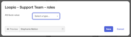 Attribute mapping popup.png