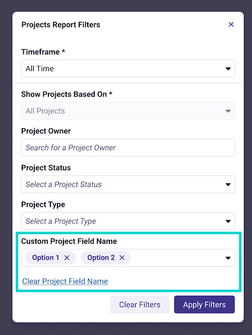 Projects Report Filter Options.png