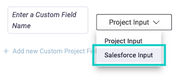 Salesforceinput option for Custom Project Field.png