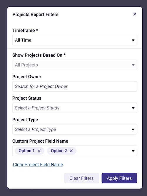 Project Report filter options.png