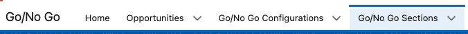 Go No-Go Sections tab.png