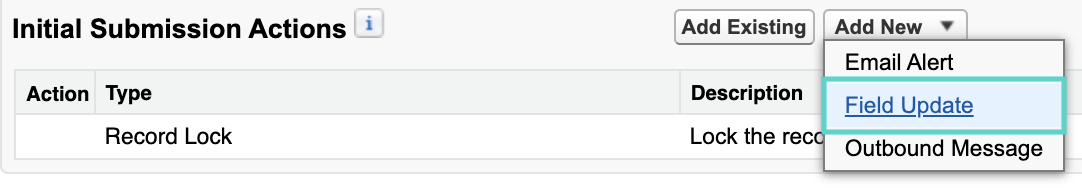 Field Update option selected.png
