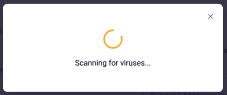 Scanning for viruses message.png