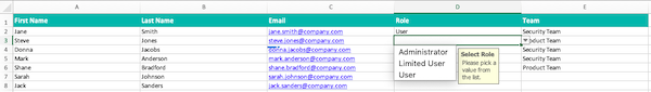 A_screenshot_of_the_Excel_User_Template_with_role_and_team_filled_in.png