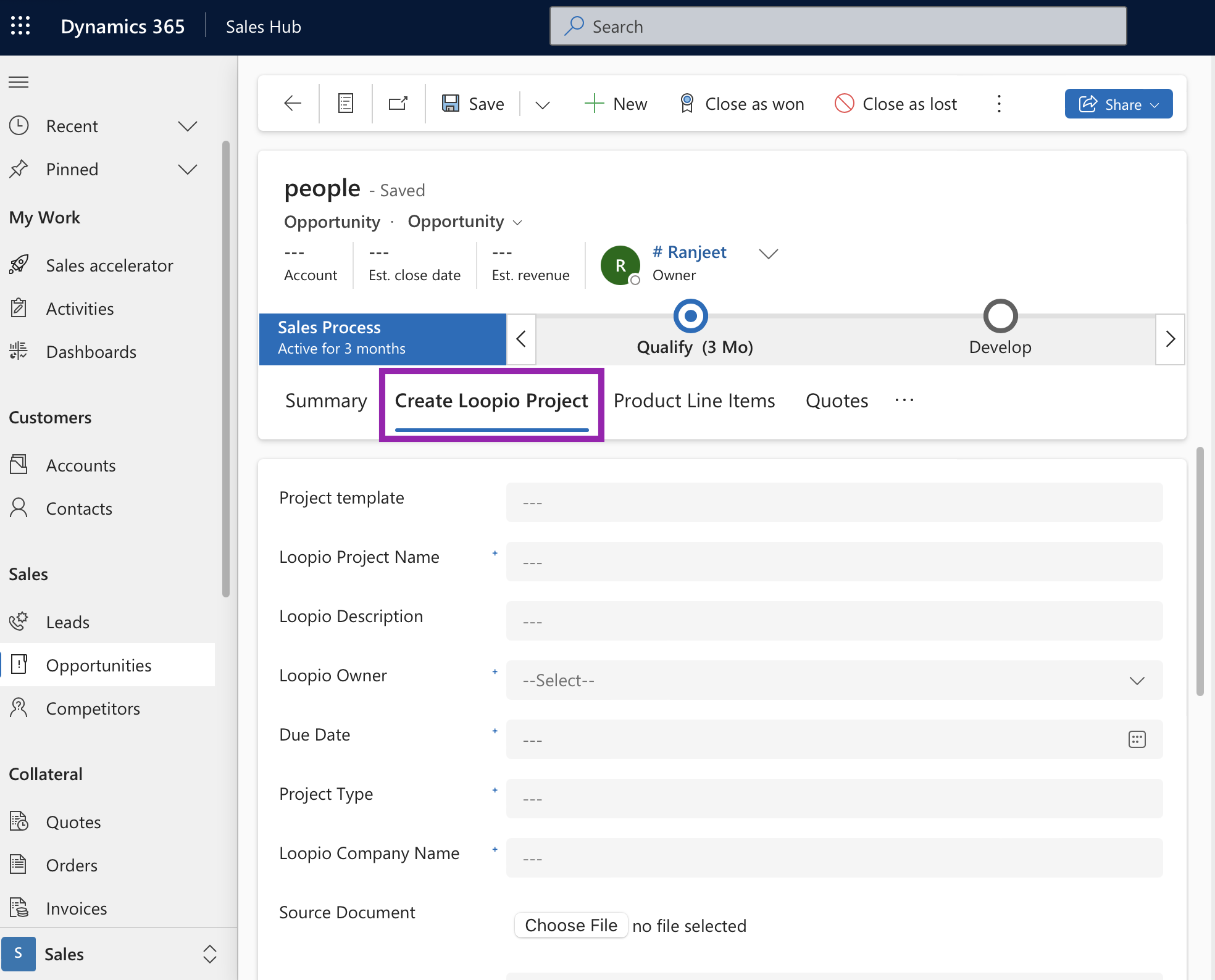 create loopio project tab in ms dynamics.png