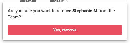 Screen_Shot_of_delete_team_member_confirmation.png