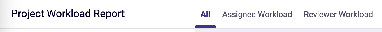 Project Workload Report tabs.png