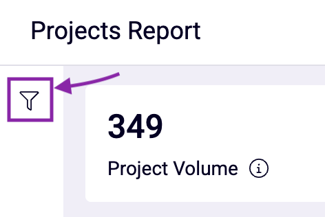 Filter icon on Projects Report.png