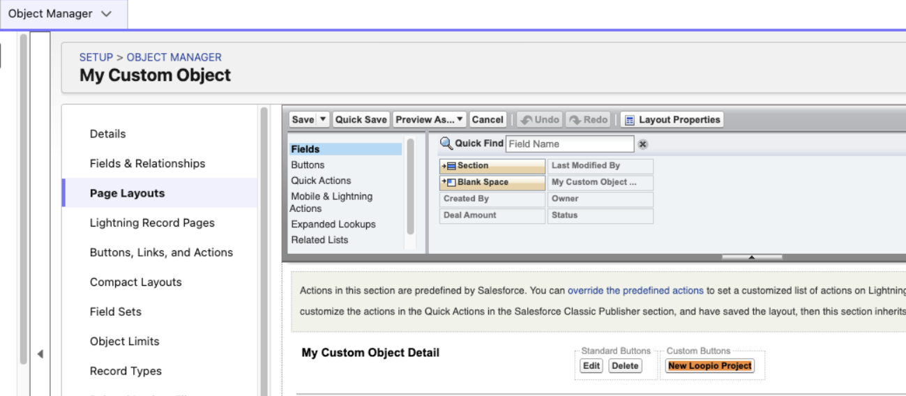 Salesforce object manager > page layouts > fields