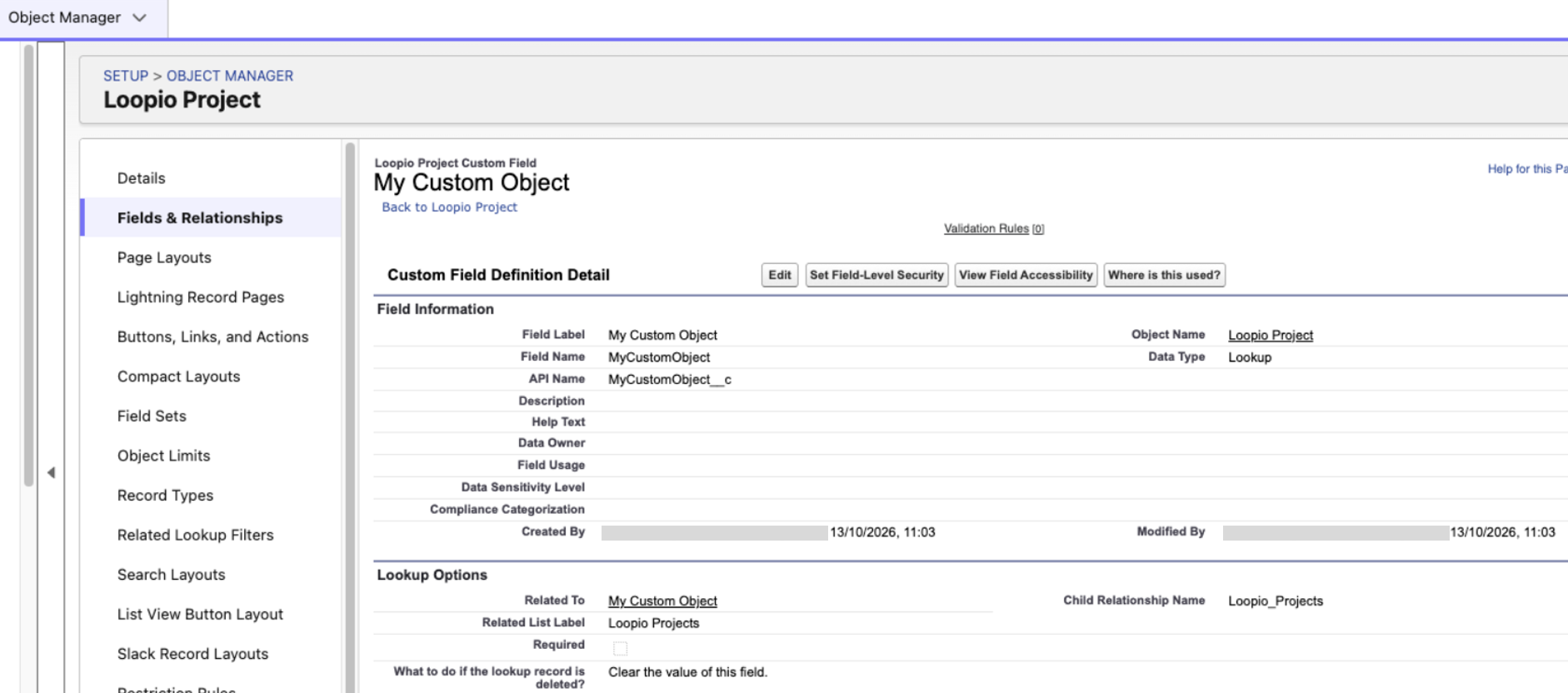Salesforce object manager > fields and relationships > my custom object
